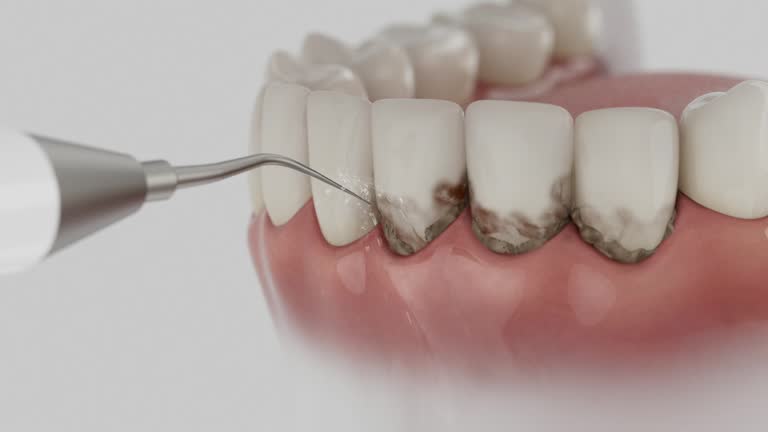 Reliable Dental contractor in Columbia County County, PA by Dentist Open Now